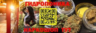 бошки Краснознаменск
